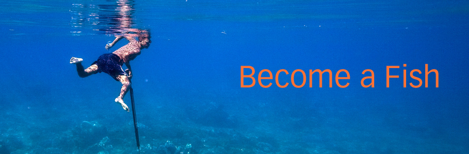 BecomeaFish02